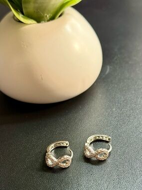 Infinity Pavé Stainless Steel Hoop Earrings - Silver